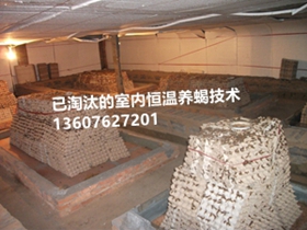 <b>中国较大的蝎子养殖场展示，室内恒温蝎子养殖的弊端 </b>